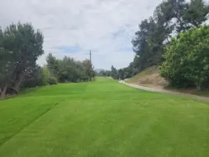 Chapman format golf fairway at Pala Mesa Resort